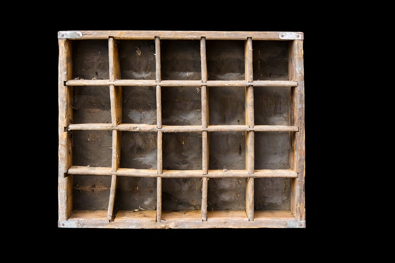 Wildlife Specialists